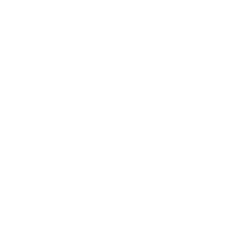 IDEM small logo